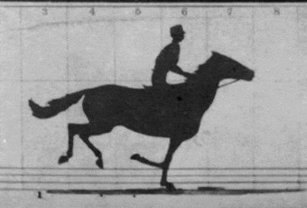 The-Horse-in-Motion-anim – LearnOpenCV Read, Write and Display a video using OpenCV. Horse in Motion : First real time motion sequence captured