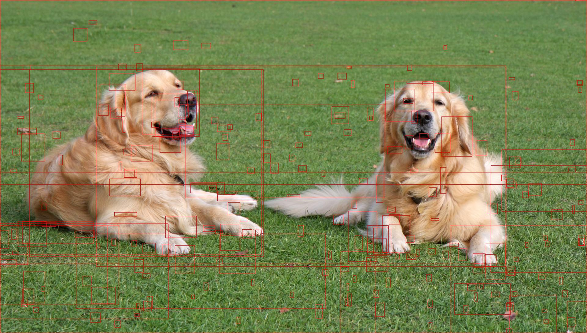 selective search for object detection  c      python