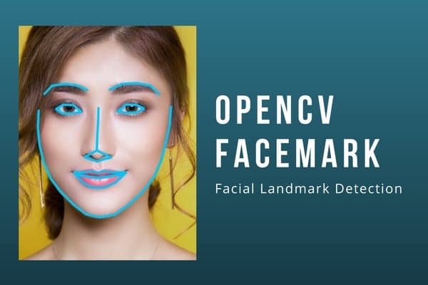OpenCV Facemark : Facial Landmark Detection