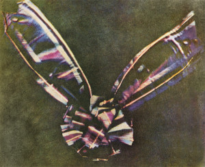 Ribbon by Maxell and Sutton was the first color photo