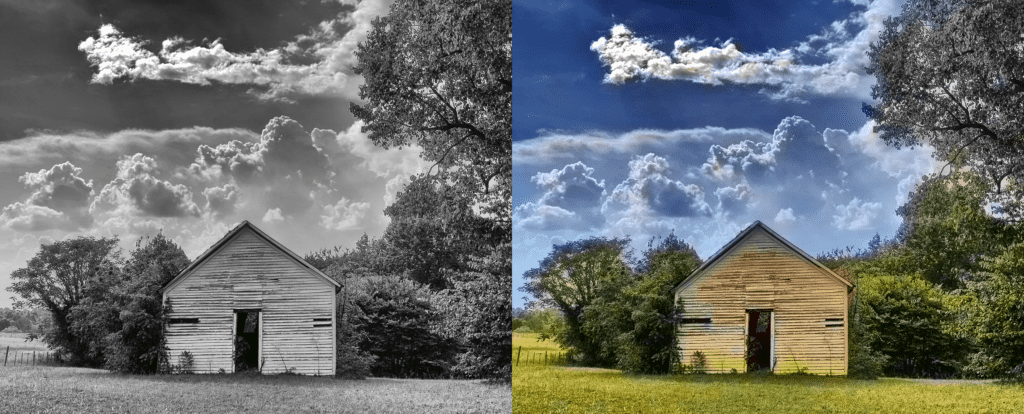 colorization example