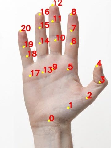 hand-output-keypoints – LearnOpenCV Sample image of result. Keypoints detected using the Hand Keypoint Detector are marked and numbered.
