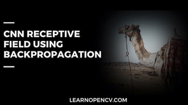 CNN Receptive Field Using Backpropagation